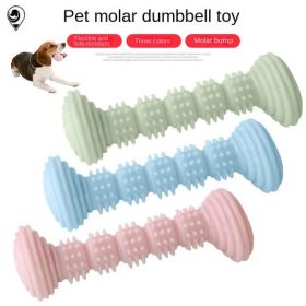 TPR Molar Chew Sticks, Set of 2