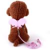 Angel Wing Harness & Leash Set, Pink