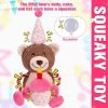 Birthday Bear Squeaky Plush Toy in Pink