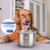 Stainless Steel Pet Water Fountain, 2L