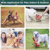 Strapped Soccer Ball Toy for Tug & Fetch