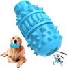 Azure Rubber Chew & Squeaky Toy