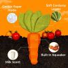 Red Squeaky Carrot Chew Toy