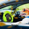 Tough Chew Toy Set for Power Chewers