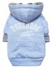 Hampton Beach Sand-Blasted Cotton Hoodie