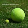 Giant Tennis Ball – 9.5" Oversized Fetch Toy