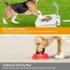 Paw-Pedal Outdoor Water Fountain