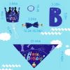 Boy Dog Birthday Bandana, Hat & Banner Set - Blue