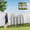 Outdoor Dog Kennel with Roof for Small to Medium Dogs