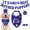 Boy Dog Birthday Bandana, Hat & Banner Set - Blue