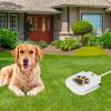 Paw-Pedal Outdoor Water Fountain