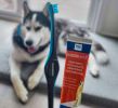 BrushMate Dual-Ended Dog Toothbrush (6-Pack)
