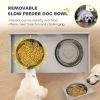 Elevated Dog Bowl Feeding Station with Storage, Gray