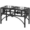 Elevated Double Stainless Steel Feeding Station
