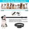 Wireless Dog Fence & Training Collar System