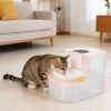 Smart Cordless Pet Water Fountain, Dual Tank