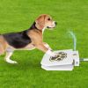 Paw-Pedal Outdoor Water Fountain