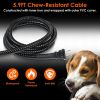 Heated Water Bowl for Dogs & Cats - Green