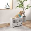 Elevated Feeding Station with Storage Cabinet, White