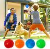Spiky Squeaky Floating Fetch Balls, Set of 3 - Gold