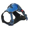 No-Pull Dog Harness with Leash, Blue