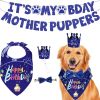 Boy Dog Birthday Bandana, Hat & Banner Set - Blue