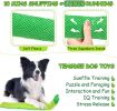 Snuffle Puzzle Toy with Squeakers