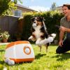 Automatic Ball Launcher for Fetch-Obsessed Pups