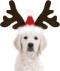 Reindeer Antlers Headband with Santa Hat, Brown