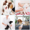2-in-1 Pet Dryer & Slicker Brush