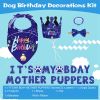 Boy Dog Birthday Bandana, Hat & Banner Set - Blue