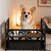 Adjustable Elevated Dog Bowl Stand