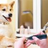 Cordless Quiet Dog Nail Grinder