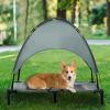 Elevated Dog Bed with Removable Canopy, Gray