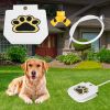 Paw-Pedal Outdoor Water Fountain