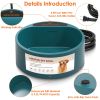 Heated Water Bowl for Dogs & Cats - Green