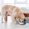 Heated Water Bowl for Dogs & Cats - Green