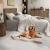 Memory Foam Orthopedic Bed for Large Dogs