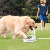Paw-Pedal Outdoor Water Fountain
