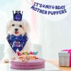 Boy Dog Birthday Bandana, Hat & Banner Set - Blue