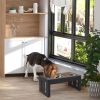 Bone-Shaped Elevated Feeding Station - Black