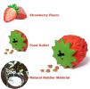 Rubber Chew & Treat Dispensing Puzzle Ball