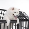 55" Heavy Duty Dog Crate with Lockable Wheels