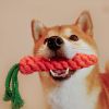 Duck & Carrot Rope Tug Toy