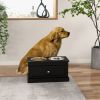 Elevated Dog Feeder Station with Storage Drawer, Black