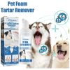 Oral Foam Dental Cleanser, No-Brush Fresh Breath Formula