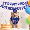 Boy Dog Birthday Bandana, Hat & Banner Set - Blue