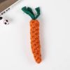 Duck & Carrot Rope Tug Toy