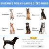 XL Elevated Dog Bed with Carry Bag, Tan