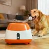Automatic Ball Launcher for Fetch-Obsessed Pups